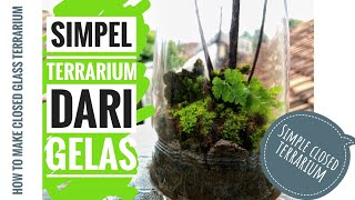 DIY Simple VivariumTerrarium  Membuat TerrariumVivarium dari gelas [upl. by Euqnimod]