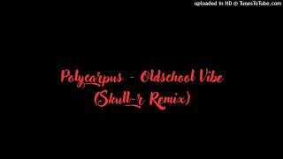 Polycarpus  Oldschool Vibe  Skullr Remix [upl. by Inaluiak932]