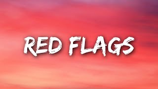 Mimi Webb  Red Flags Lyrics [upl. by Samal]