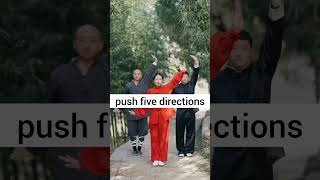 jincheng martialarts [upl. by Eneryt]