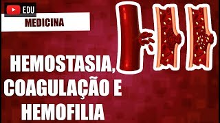 Hemostasia coagulação e hemofilia [upl. by Jessika]