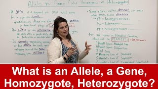 Alleles vs Genes What is an allele Plus HOMOZYGOTE vs HETEROZYGOTE [upl. by Kirch]