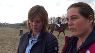 Taxeren van paarden hoe gaat dat Vereniging Eigen Paard [upl. by Odell]