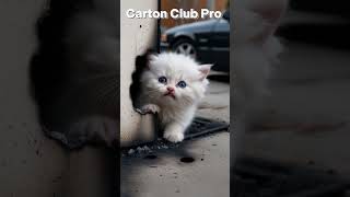 Kitten Loses Parents in Tragic Kitchen Oven Explosion cat cats short viralshorts kitten [upl. by Garik]