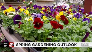 Spring gardening starting earlier than normal with warmer Minnesota temperatures [upl. by Colver]