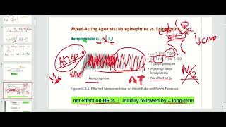 Epinephrine Reversal High Yield Concepts [upl. by Atinomar971]