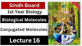 conjugated molecules  biological molecules  class 11 biology Sindh board new [upl. by Annalise785]