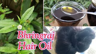 How To Make Bhringraj Hair Oil At Home  For Control Hair Fall amp Hair Growth [upl. by Benildis243]