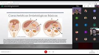 Anatomia Peritônio e Retroperitônio [upl. by Magdau327]