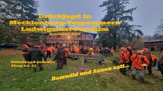 Drückjagd in MecklenburgVorpommern LudwigslustParchim  DrückjagdJournal Vlog  Folge 0323 [upl. by Spiros955]