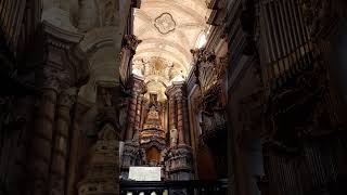 Fantastic Pipe organ concerts at Clerigos Church and Tower in Porto Portugal [upl. by Gabey]