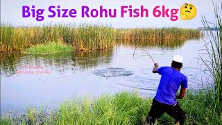 Hook fishing🎣big Rohus unique style catching technically by hook hand fishermen fish catching [upl. by Lenora41]