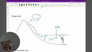 14 Biogeochemical Cycles Part 1 [upl. by Toland]