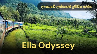 Ella Odyssey  Sripada View Point  Colombo To Ella  9 Arch Bridge  St Clairs Falls [upl. by Hathaway]