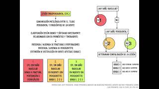 2 3a Abscesos del Periodonto y Lesiones Endoperiodontales [upl. by Immanuel]