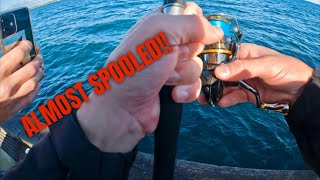 I NEVER KNEW THIS PLACE COULD FISH SO WELL almost spooled  BUSSELTON JETTY MAYHEM [upl. by Kleinstein914]