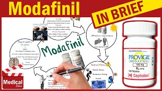 Modafinil  Provigil 100mg  What is Modafinil Used For Dosage Side Effects amp Precautions [upl. by Marice529]