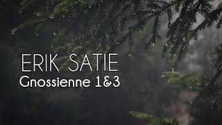 Erik Satie  Gnossienne No 1 amp 3 [upl. by Yellhsa]