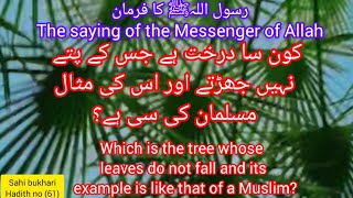 Frman E Rasool sawفرمان رسول ﷺ hadeesnabvi hadithsharif sahibukhari IslamkiBateen101 [upl. by Moishe]