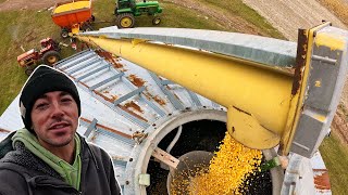 Picking Corn On A Small Vegetable Farm Pt1 [upl. by Kcirrad903]