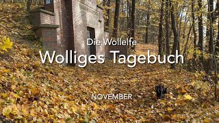 Wolliges Tagebuch  Die Wollelfe  November [upl. by Adnam]