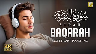 Surah Al Baqarah Full 4K سورة البقره  HEART TOUCHING RECITATION  Zikrullah TV [upl. by Keane400]