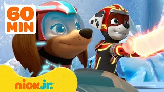 Paw Patrol  ¡Cachorros al rescate  Parte 3  Nick Jr [upl. by Bello]