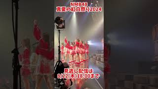 【NMB48 Summer LIVE 2024 】見逃し配信中🏖️ [upl. by Felipa]