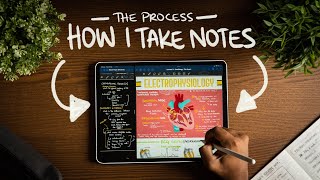 How I Take Notes with My iPad Pro in Lectures Notability amp GoodNotes  Free Template [upl. by Grew319]