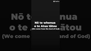 Aotearoa  Stan Walker lyrics  English translation [upl. by Eiclud498]