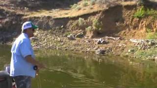 Fly fishing for Crappie on Brownlee Reservoir [upl. by Ohce777]