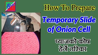 प्याजको कोष हेर्ने तरिका  Preparation of Temporary Slide of Onion Peel  Onion Cell Preparation [upl. by Spark]