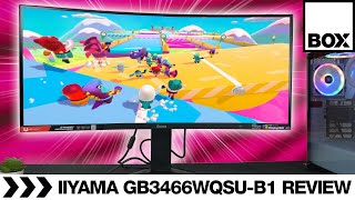 iiyama GMaster GB3466WQSUB1 Red Eagle 144Hz Curved Gaming Monitor Review [upl. by Atisor]