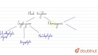 Cryptogamic plants are [upl. by Ainessey]