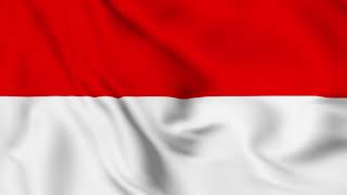 4K Video Bendera Indonesia Berkibar [upl. by Tollmann]