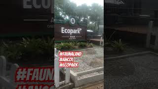 FAUNA LAND  ECOPARK ANCOL story arrumistory shorts faunaland ecopark ancol [upl. by Erastes]