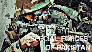 Special Forces of Pakistan 2018  SSG  SSGN  SSW [upl. by Refenej546]