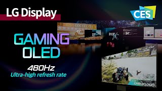 CES 2024 OLED’s first 480Hz ultrahigh refresh rate Highend gaming display  LG Display [upl. by Shah742]