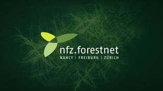 NFZforestnet Highlights of the past 10 years [upl. by Lezned388]