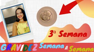 3ª Semana de Gravidez Sintomas da Mamãe e Desenvolvimento do Bebê [upl. by Aimal492]