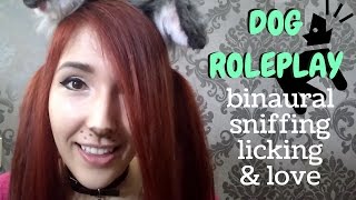 RUFF ASMR  DOG ROLEPLAY  Binaural Sniffing amp Licking Sounds [upl. by Kilroy]