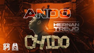 Hernan Trejo  Ando Chido Official Video [upl. by Donny]