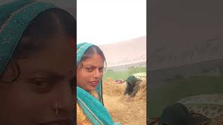 comedy funny bhojpuri love cgcomedy shailendragaur [upl. by Ateekal489]