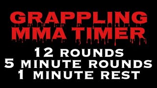 12 Rounds 5 Minute with 1 Minute rest intervaltimer [upl. by Fishback414]