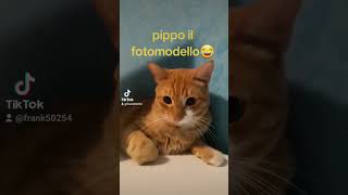 Pippo il fotomodello 😂😜youtubebyfrank5025 [upl. by Jedd]