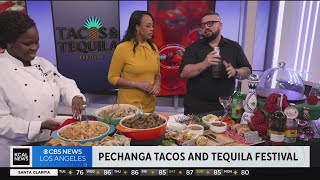 Pechanga Tacos and Tequila Festival [upl. by Ahtanoj614]