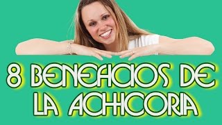 8 Beneficios de la Achicoria para la Salud [upl. by Eelrehpotsirhc315]