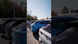 Electrify Your Drive Massive Selection of Ford Mustang MachE at Waldorf Ford [upl. by Higginbotham393]