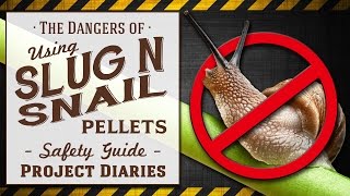 ★ The Dangers of Slug amp Snail Pellets A Complete Safety Guide [upl. by Yecart]