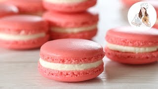 How to make Macarons  Perfect Macaron Recipe [upl. by Rodmur]